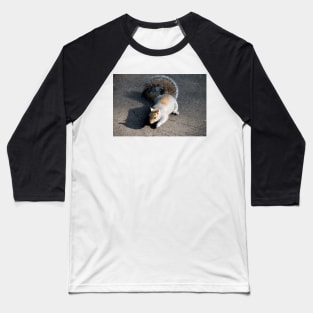 Mr Squirrel, pleased to meet you Baseball T-Shirt